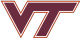 弗吉尼亚理工大学
